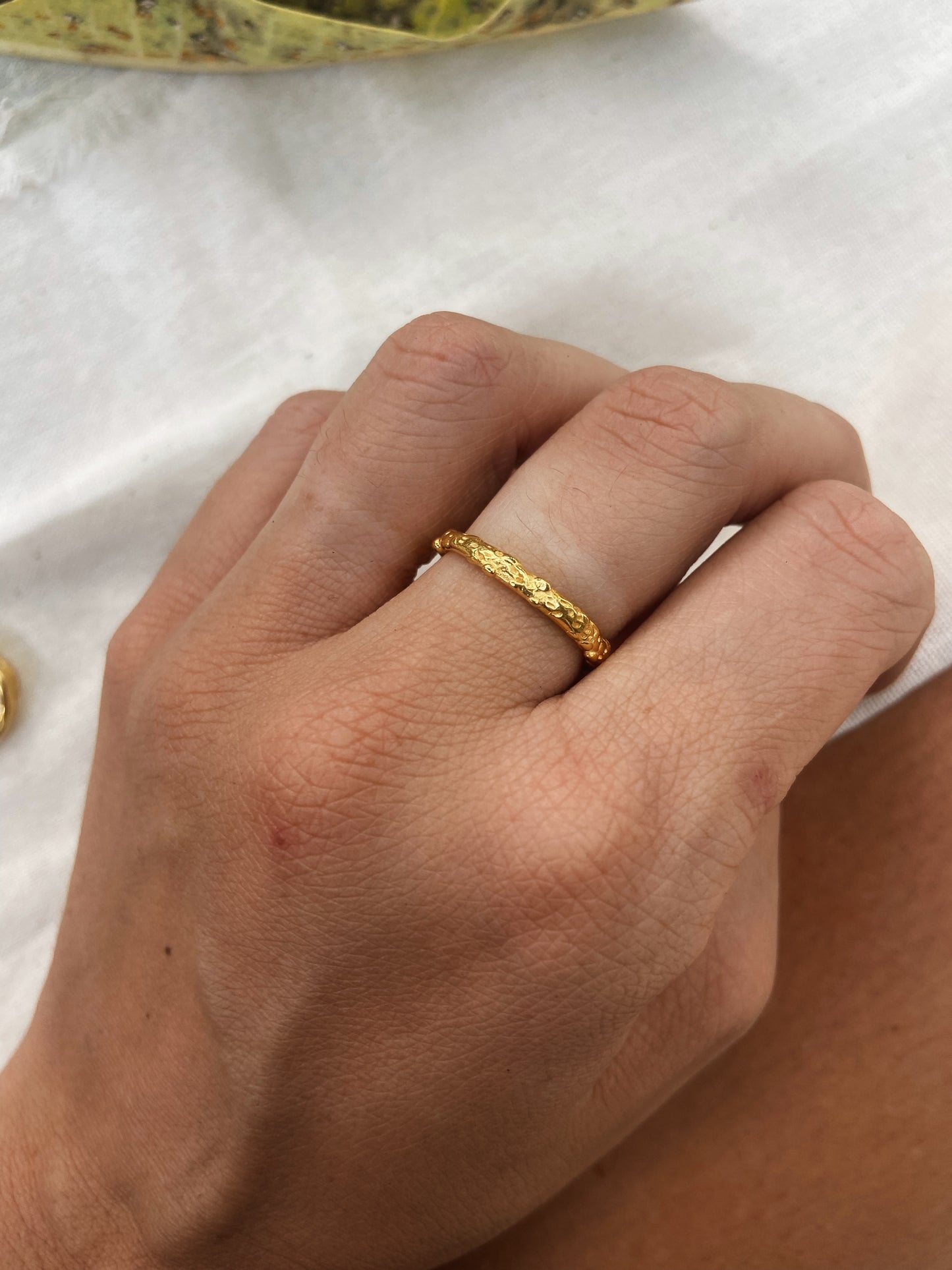 BARNACLE ✧ GOLD