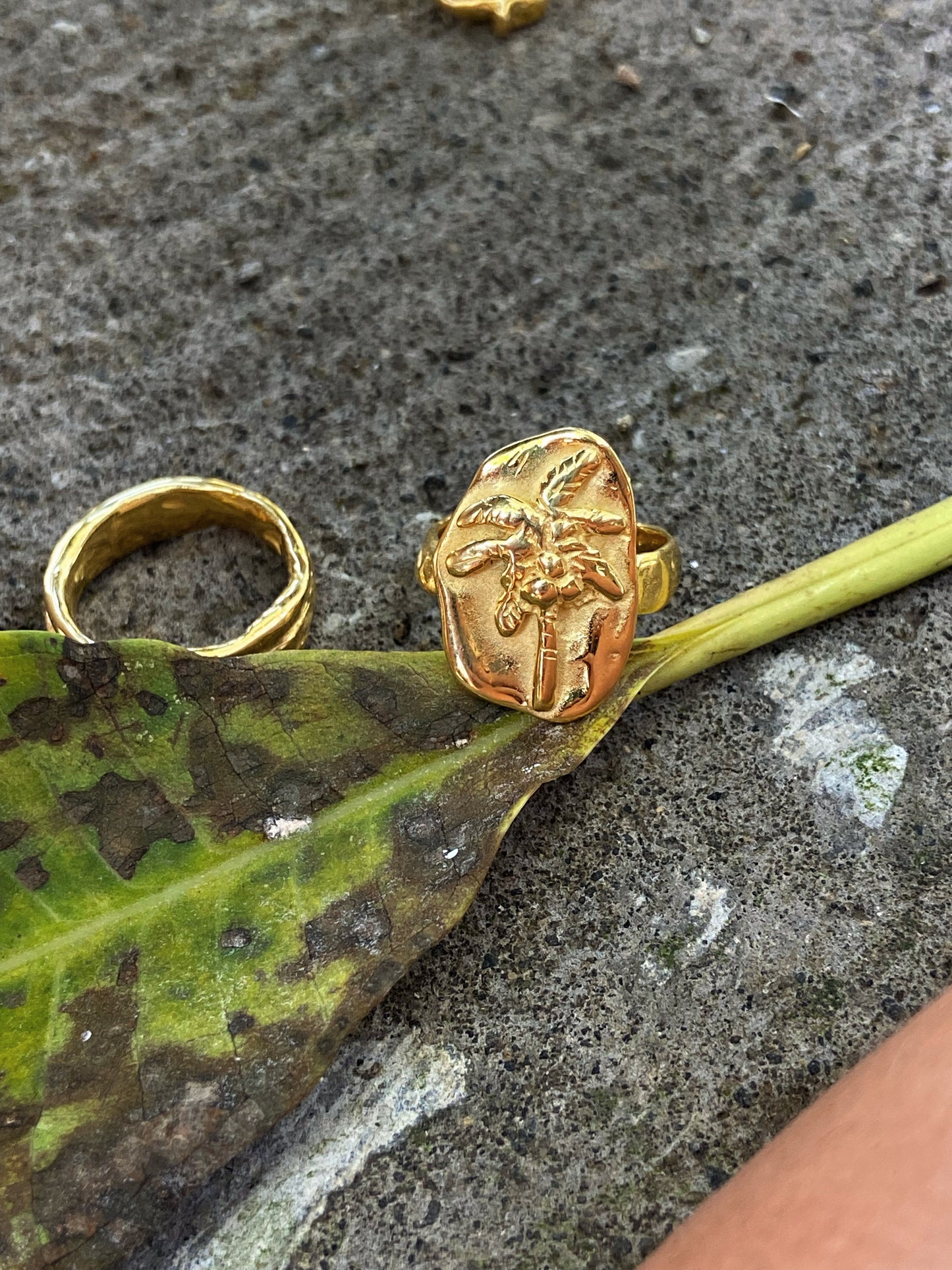 RAFIKI ✧ GOLD