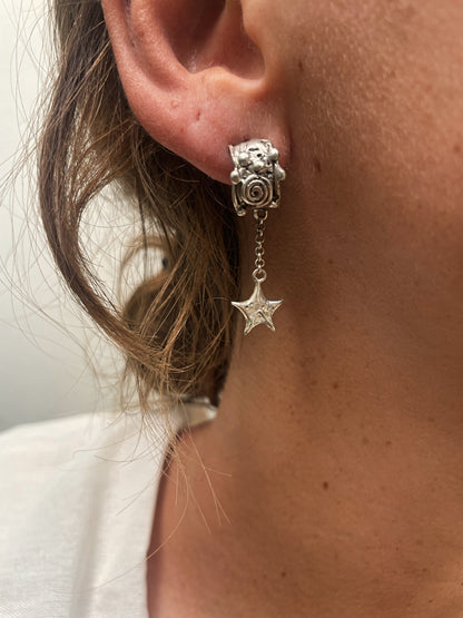 CINNAMON STARS